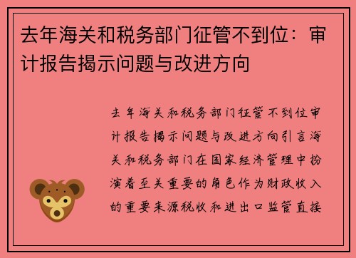 去年海关和税务部门征管不到位：审计报告揭示问题与改进方向