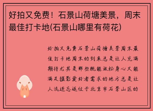 好拍又免费！石景山荷塘美景，周末最佳打卡地(石景山哪里有荷花)