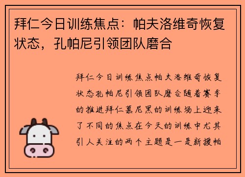 拜仁今日训练焦点：帕夫洛维奇恢复状态，孔帕尼引领团队磨合